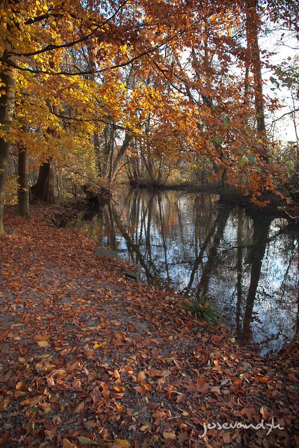 Herbstzauber