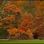 Herbstzauber