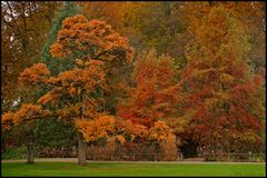 Herbstzauber