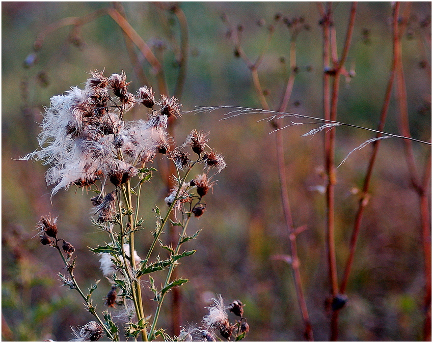 Herbstzauber...