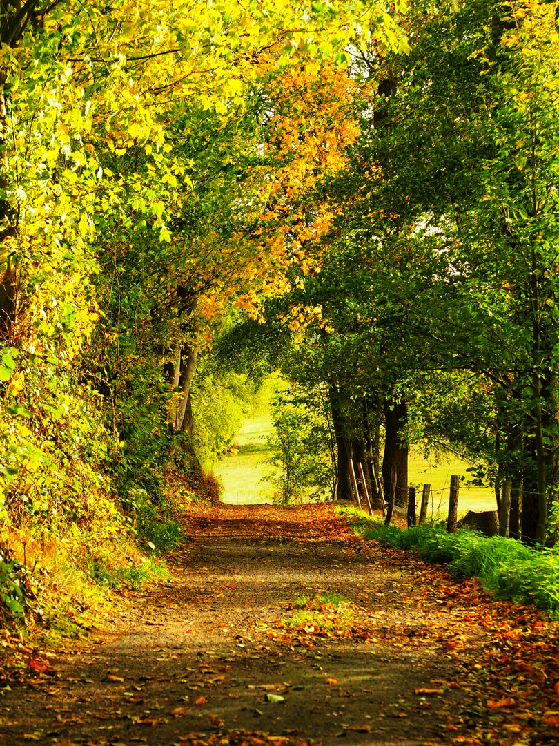 Herbstzauber