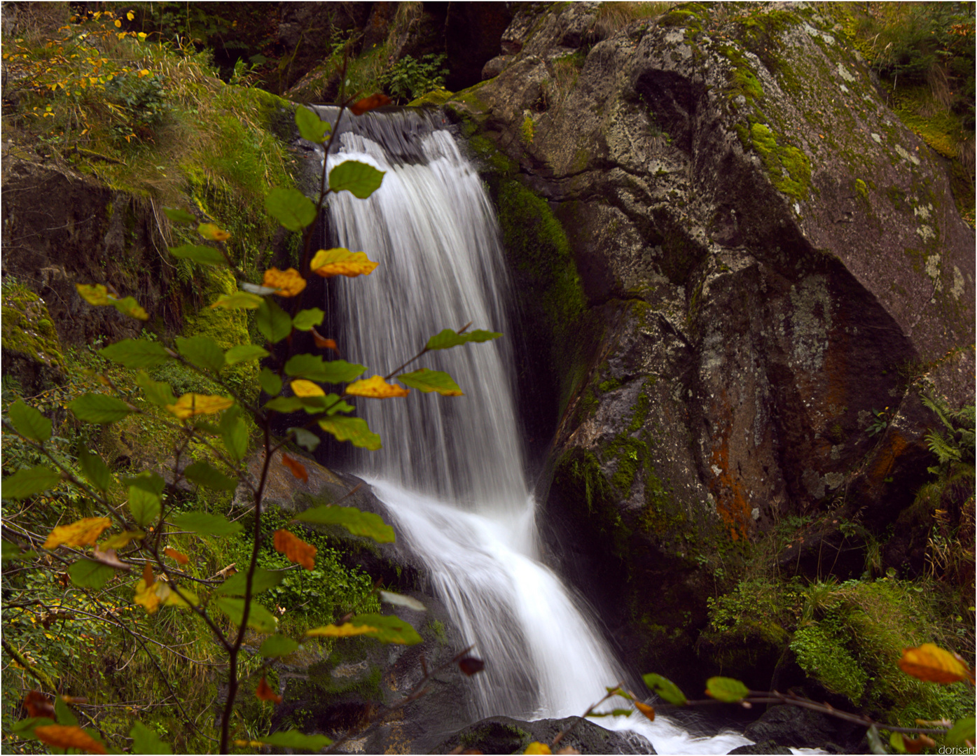 Herbstzauber