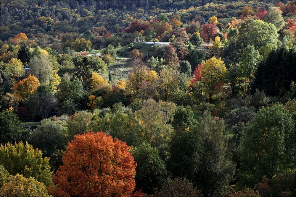 Herbstzauber