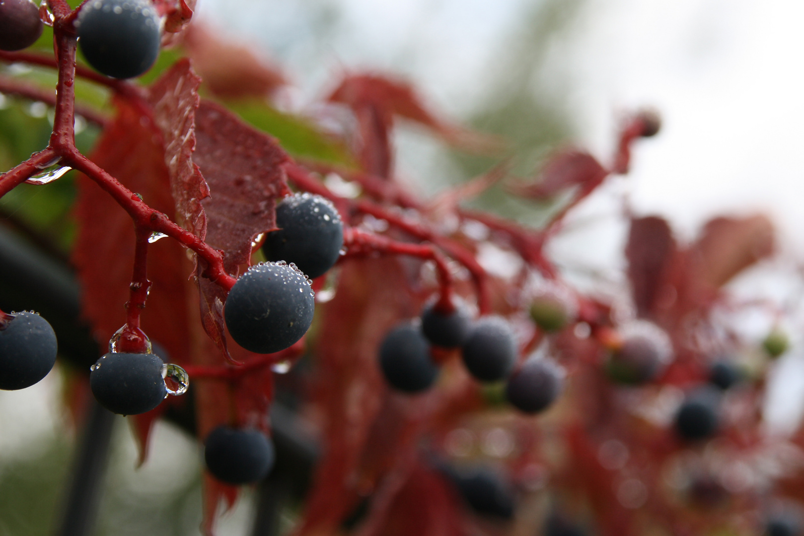 Herbstzauber