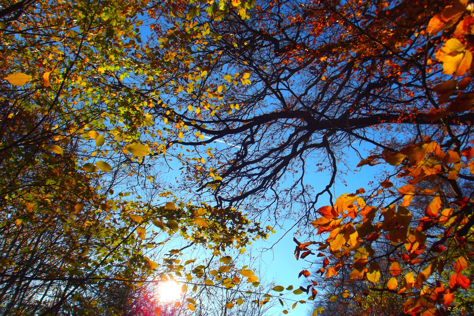 Herbstzauber