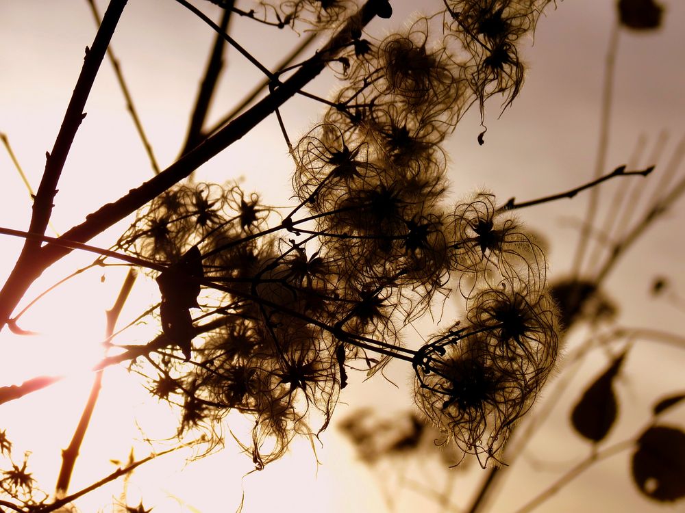 Herbstzauber