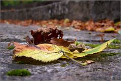 Herbstzauber