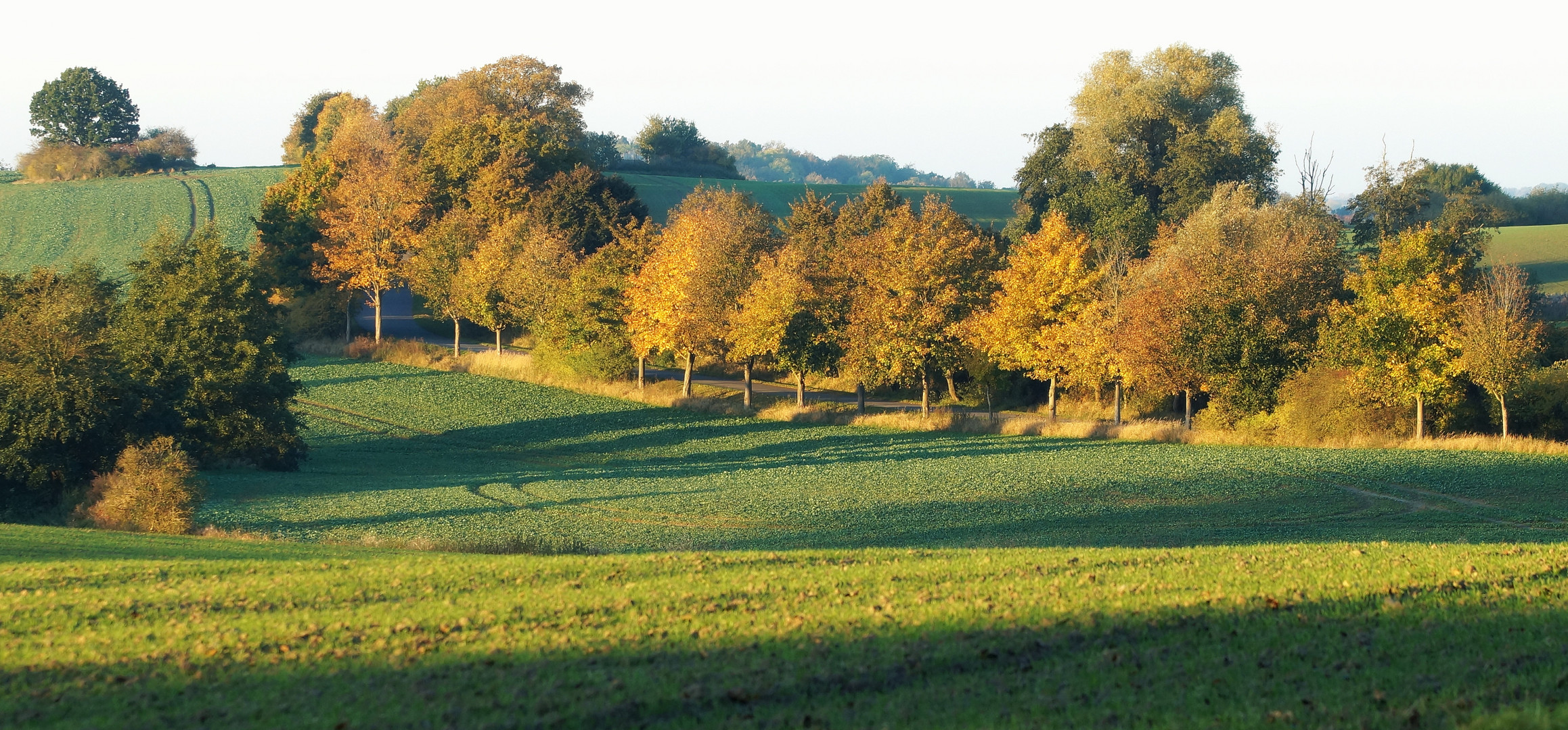 Herbstzauber