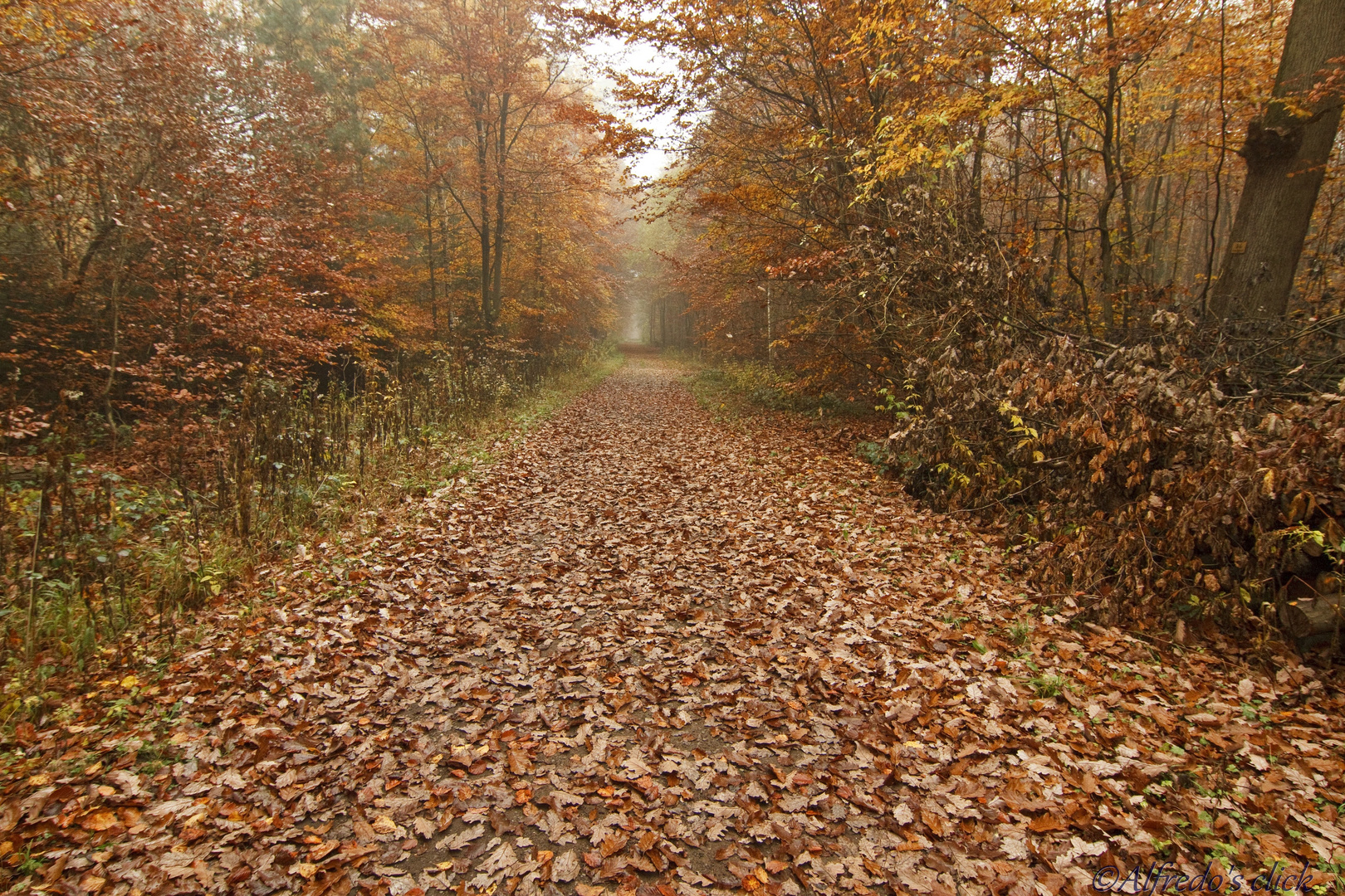 Herbstzauber