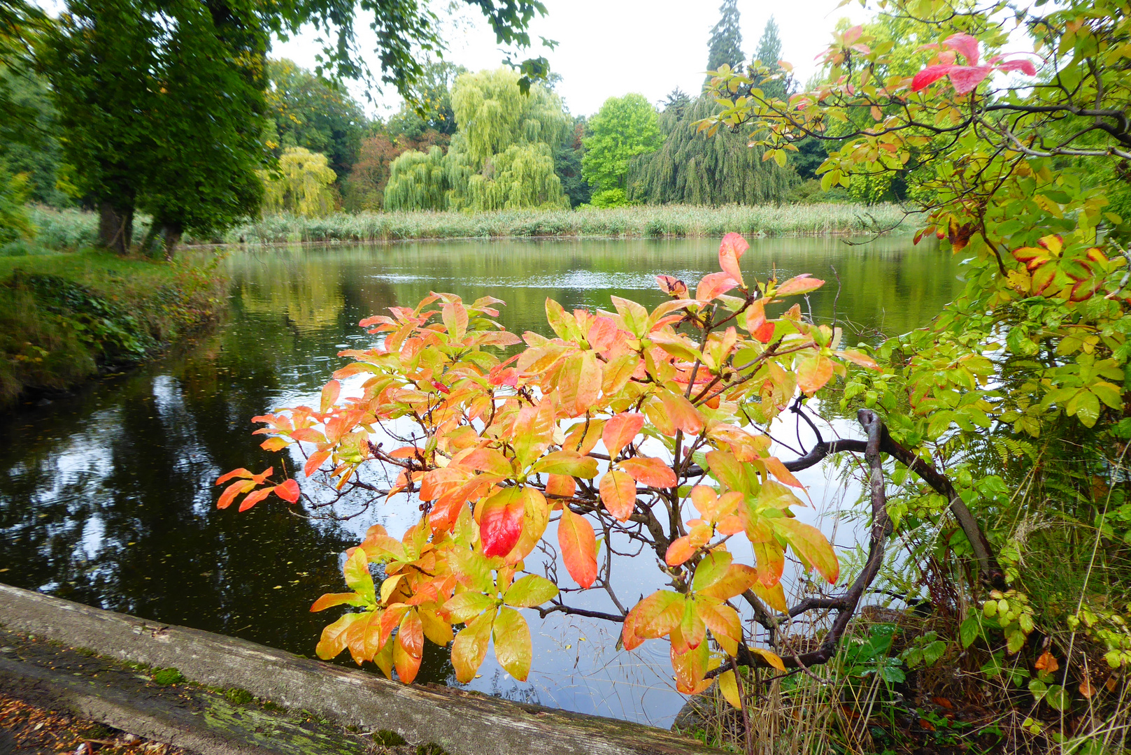 Herbstzauber