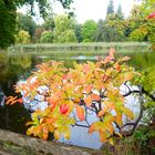 Herbstzauber