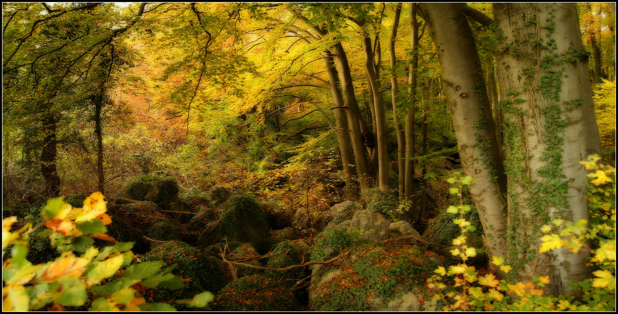 Herbstzauber