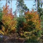 Herbstzauber