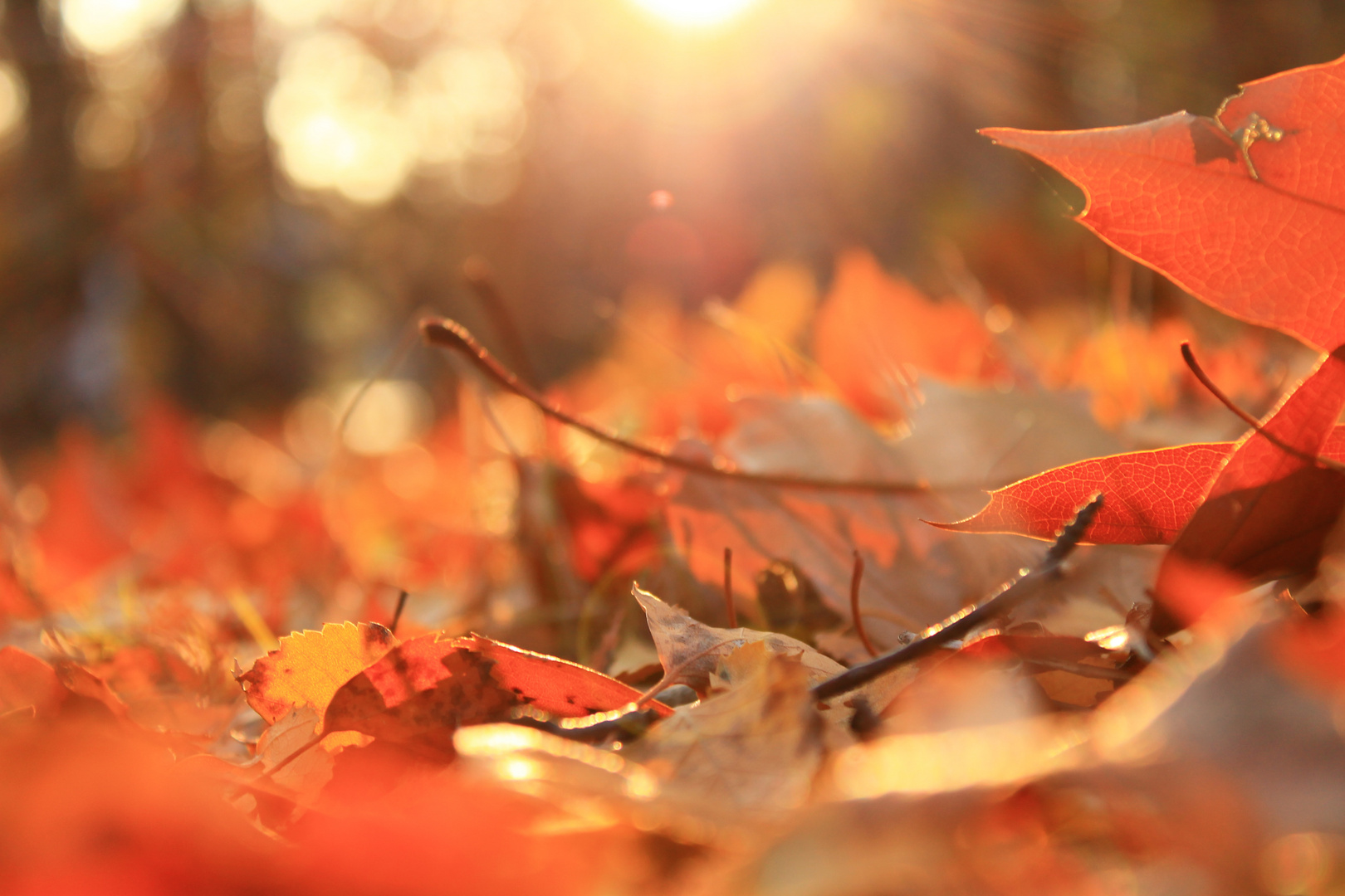 Herbstzauber