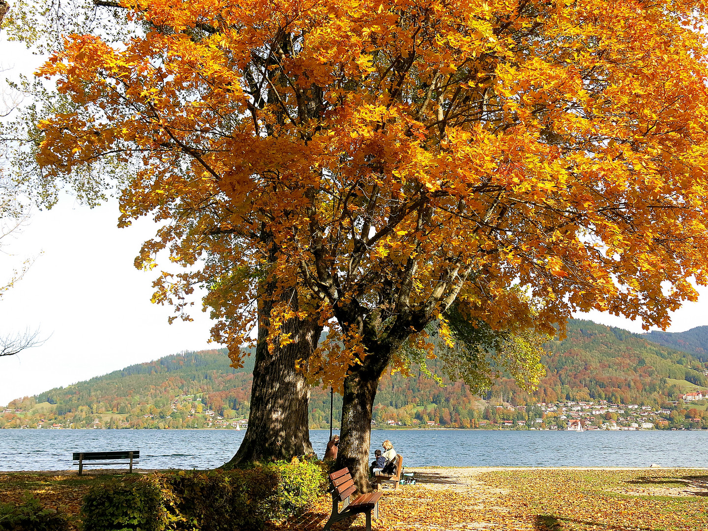 herbstzauber