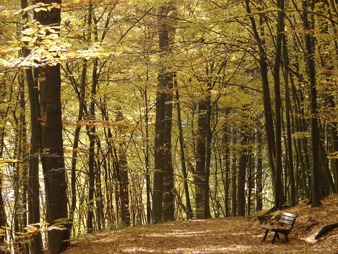 Herbstzauber