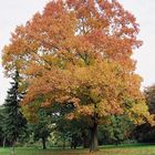 Herbstzauber