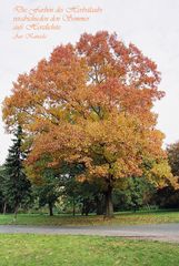 Herbstzauber