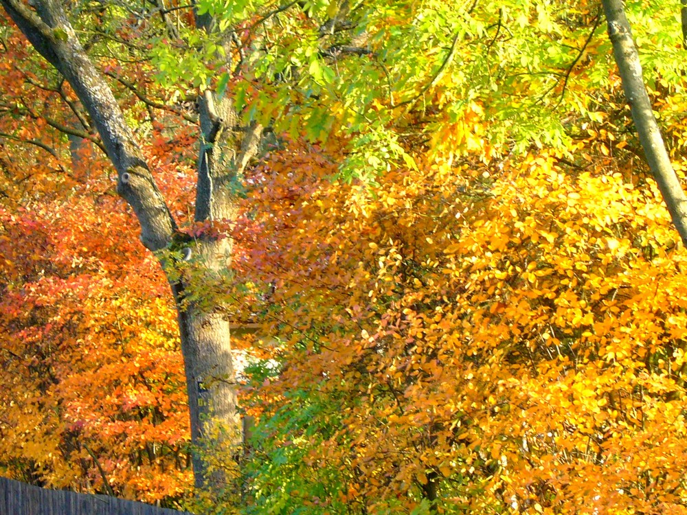 herbstzauber