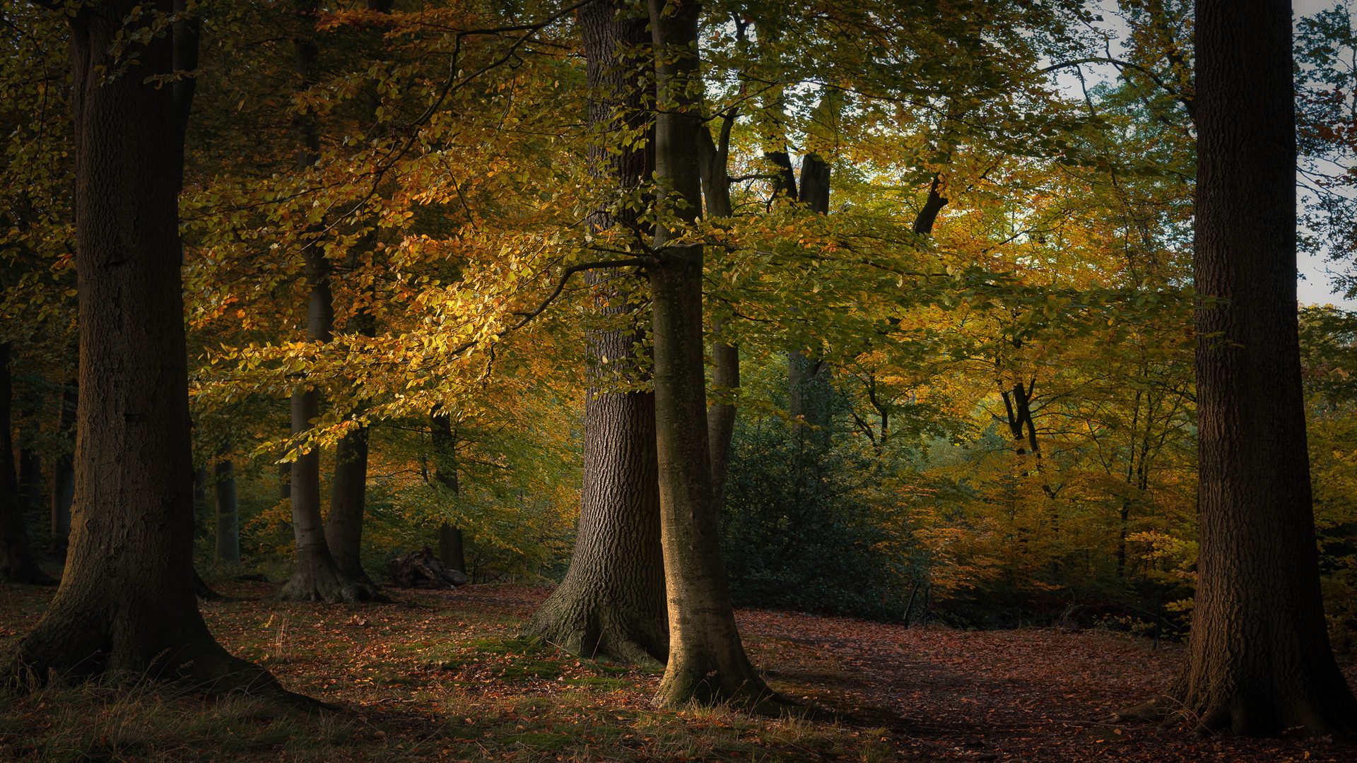 Herbstzauber