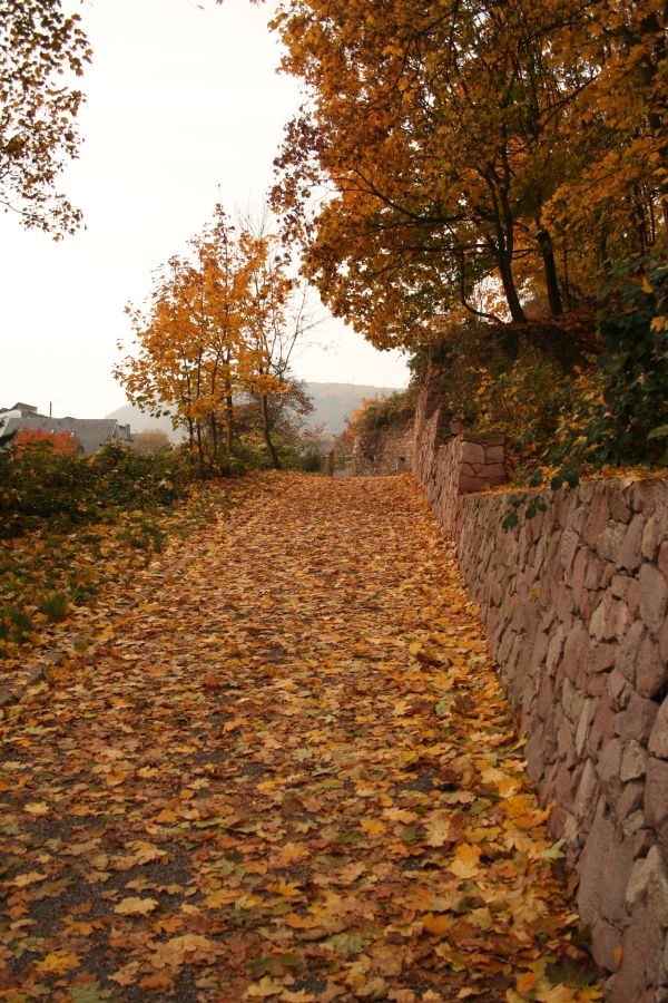 Herbstzauber