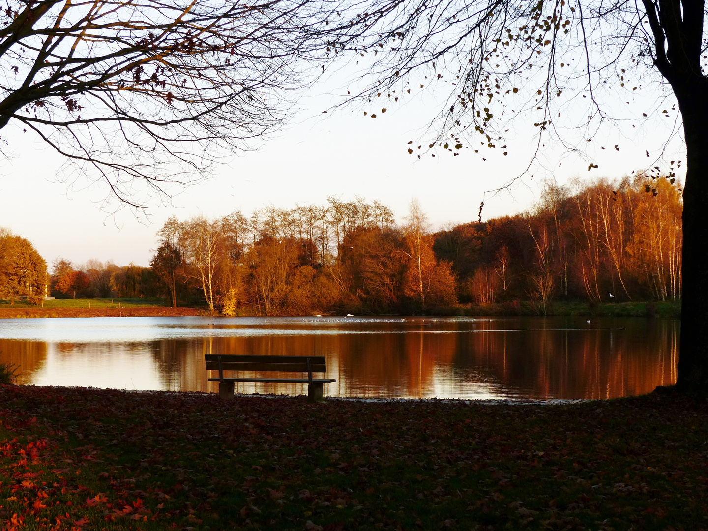 Herbstzauber