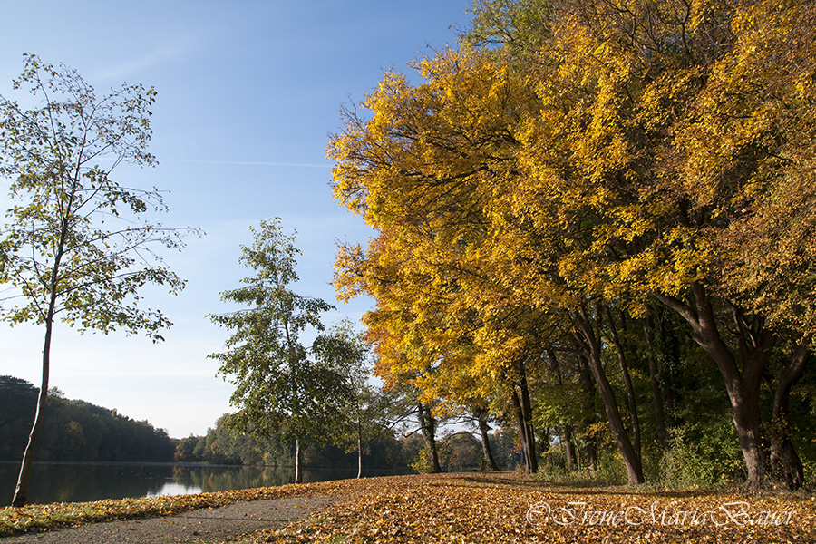 Herbstzauber