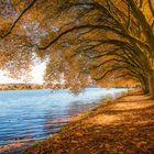 Herbstzauber am Baldeneysee