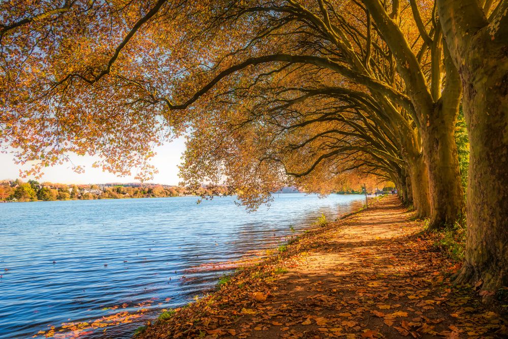 Herbstzauber am Baldeneysee