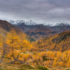 ** Herbstzauber am Bernina **