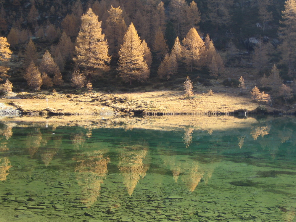 Herbstzauber am Fischersee