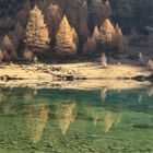 Herbstzauber am Fischersee