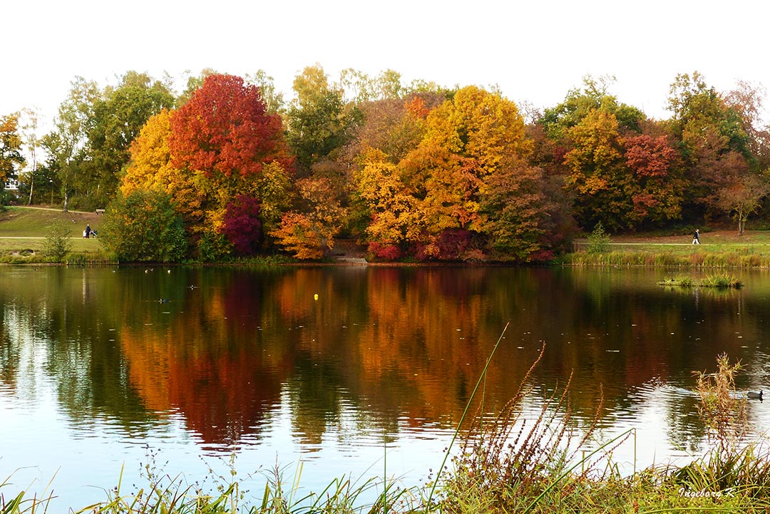 Herbstzauber am Jrönen Märken in Neuss