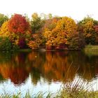 Herbstzauber am Jrönen Märken in Neuss