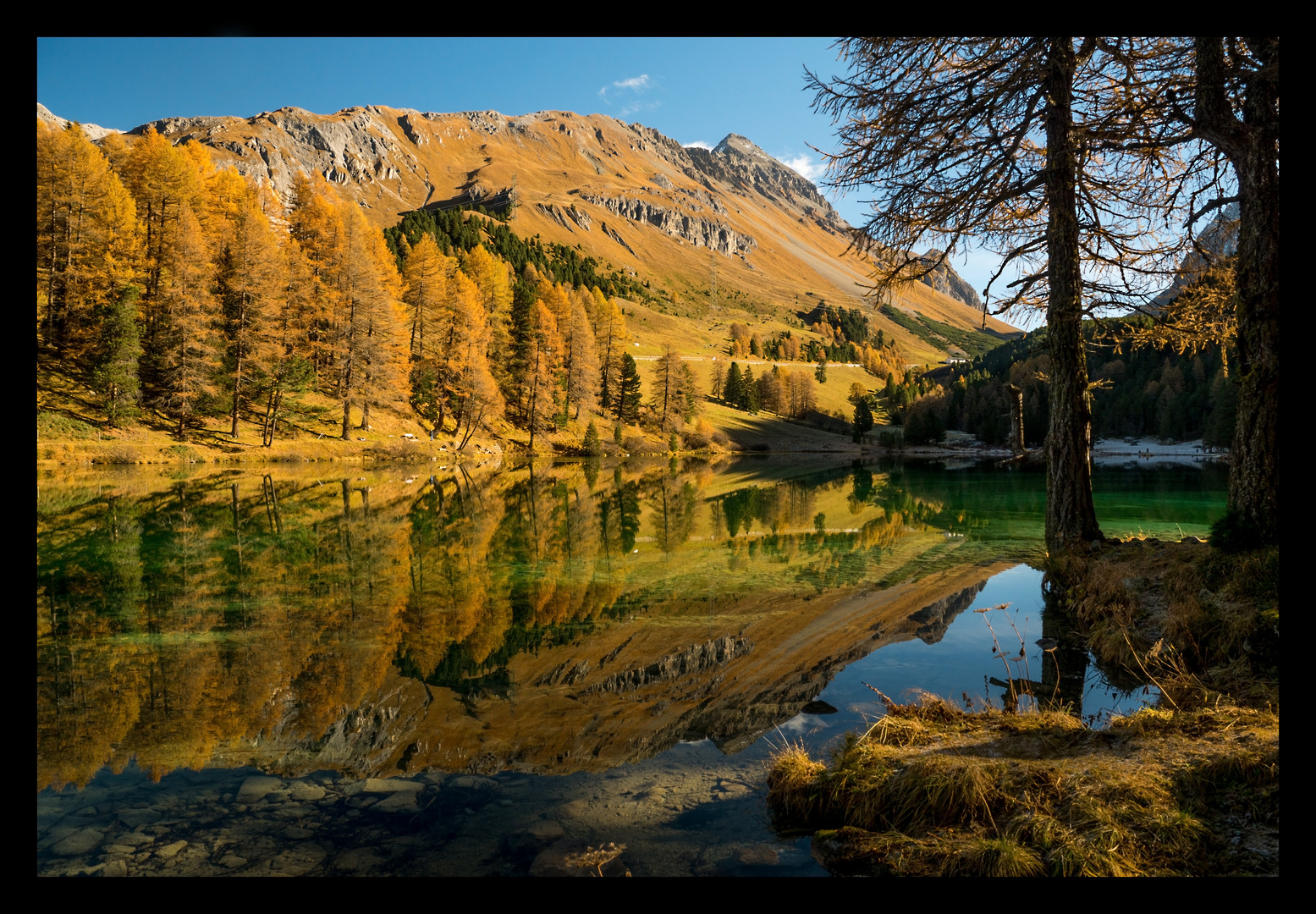 Herbstzauber am Lai da Palpuogna