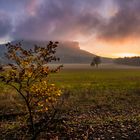 Herbstzauber am Lilienstein