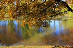 Herbstzauber am Neckar