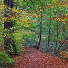 Herbstzauber am Teich