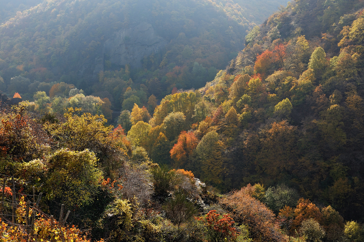 *Herbstzauber an der Ahr II*