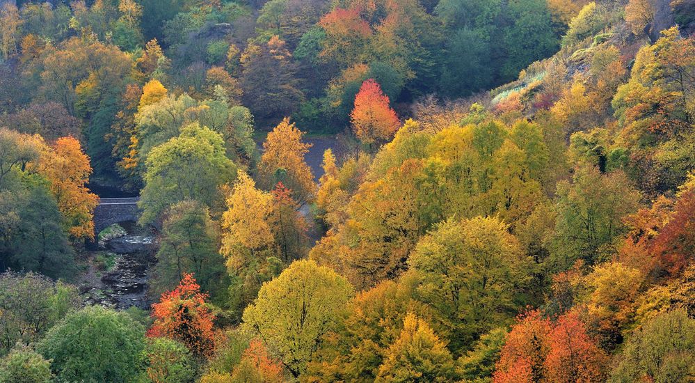 *Herbstzauber an der Ahr III*