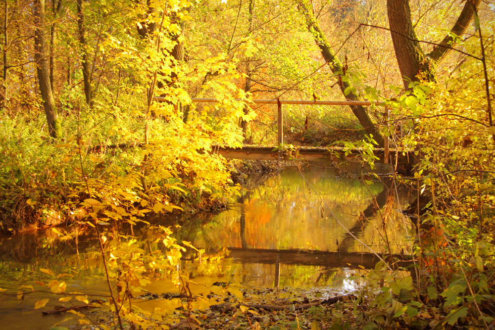 Herbstzauber an der Aitrach