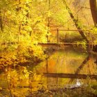 Herbstzauber an der Aitrach