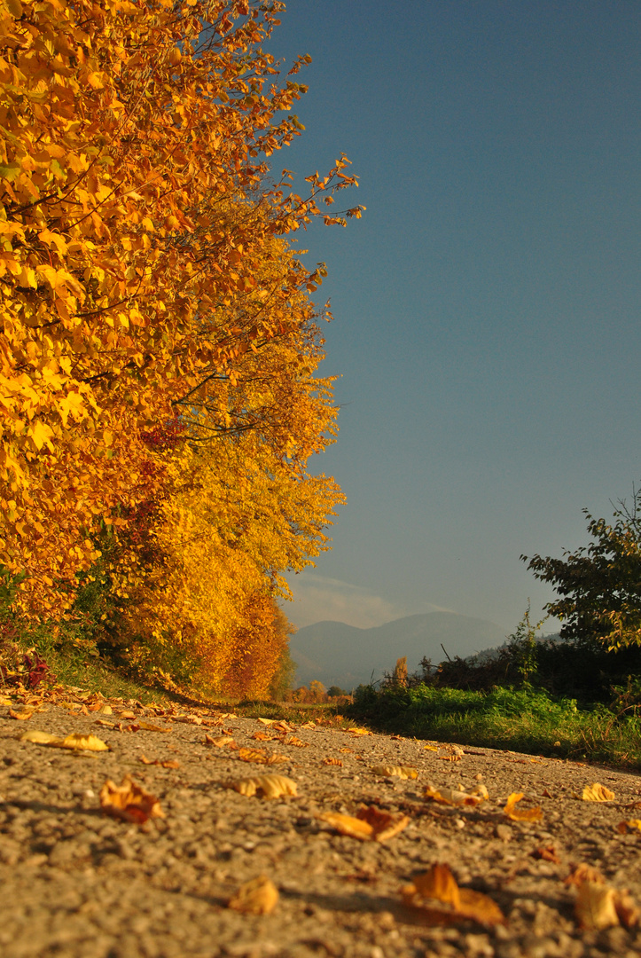 Herbstzauber