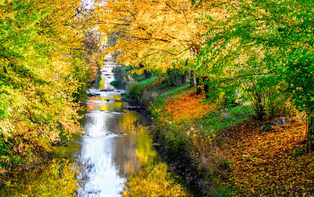 Herbstzauber