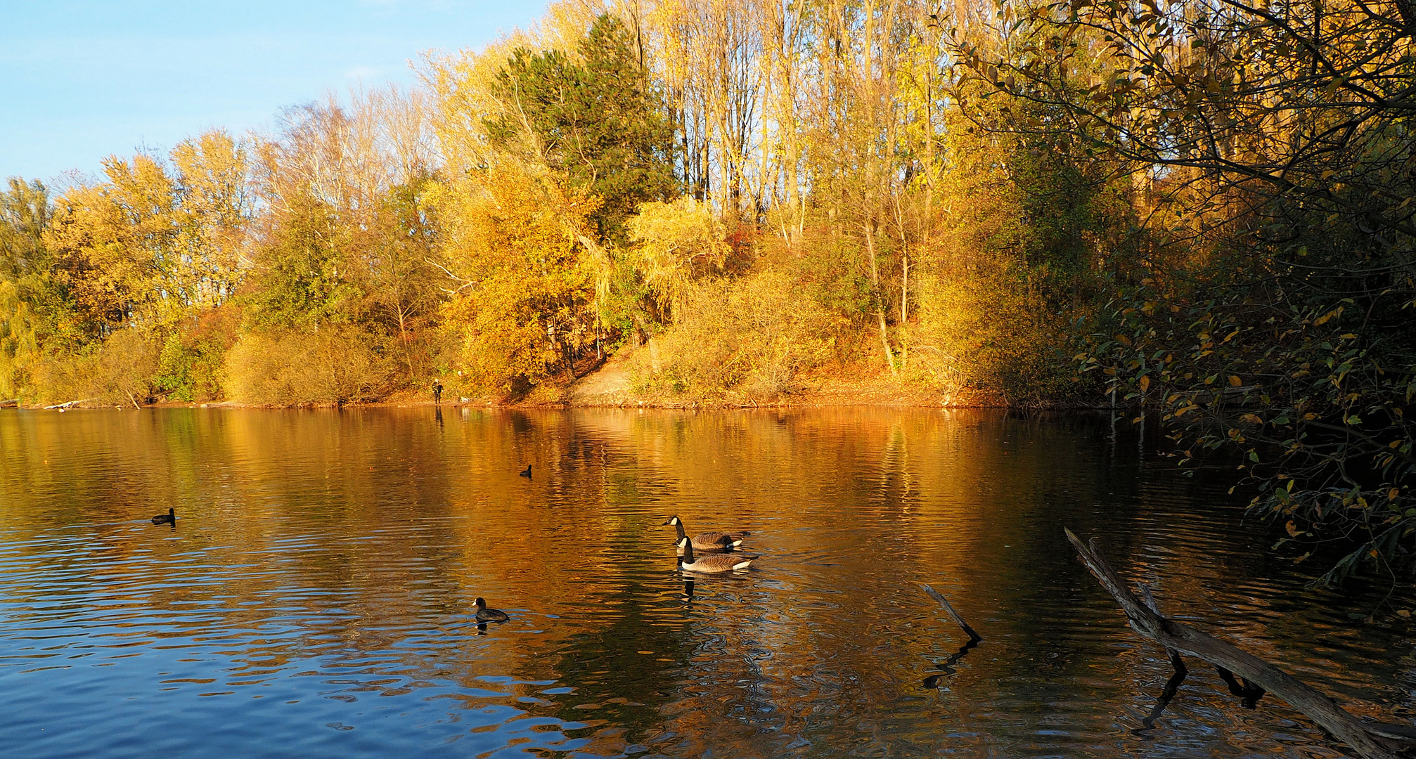 Herbstzauber...