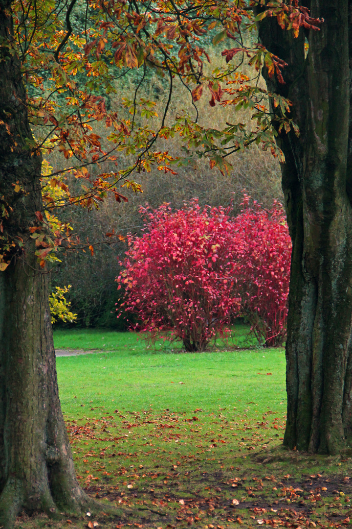 Herbstzauber