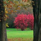 Herbstzauber