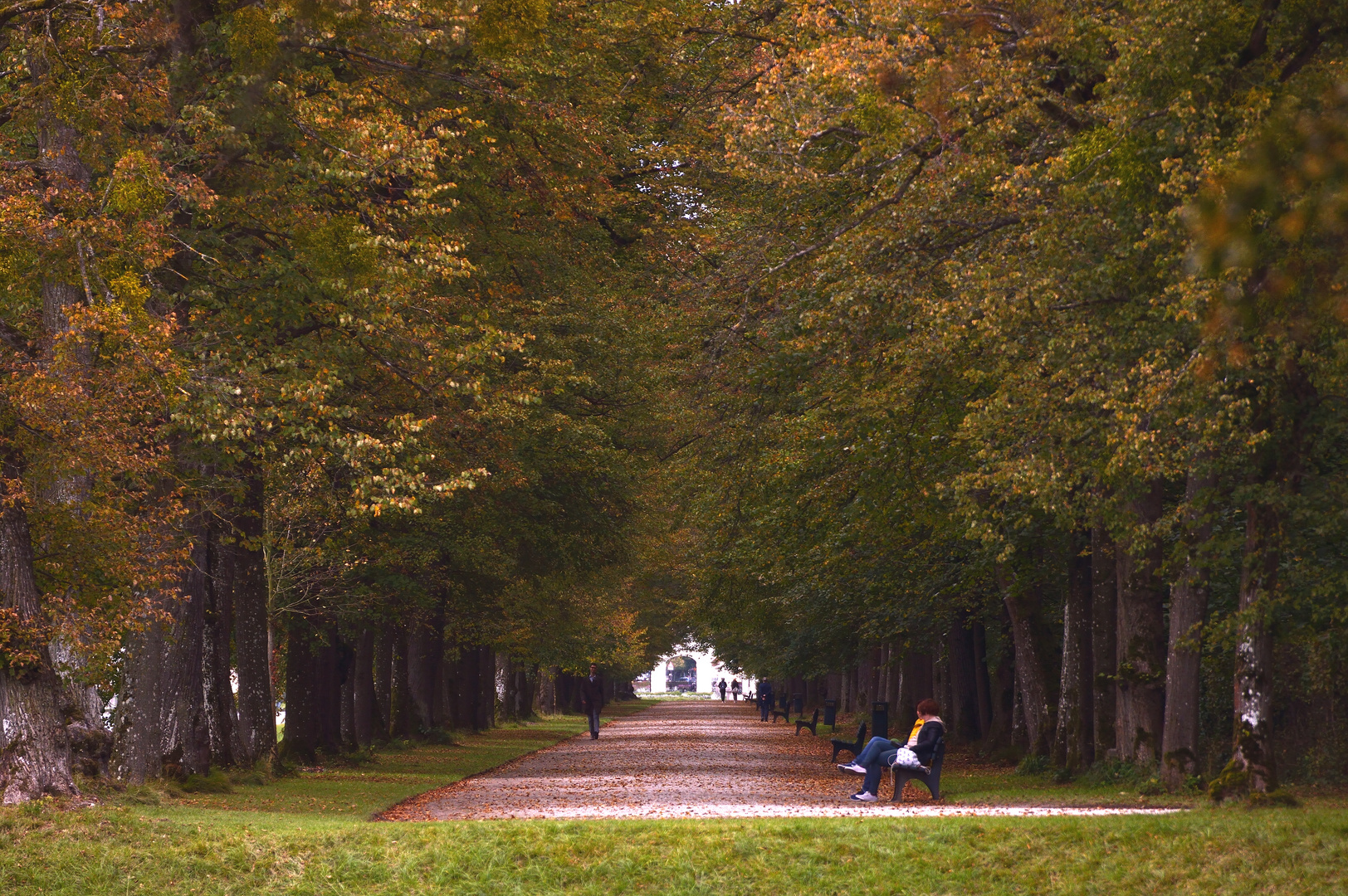 Herbstzauber