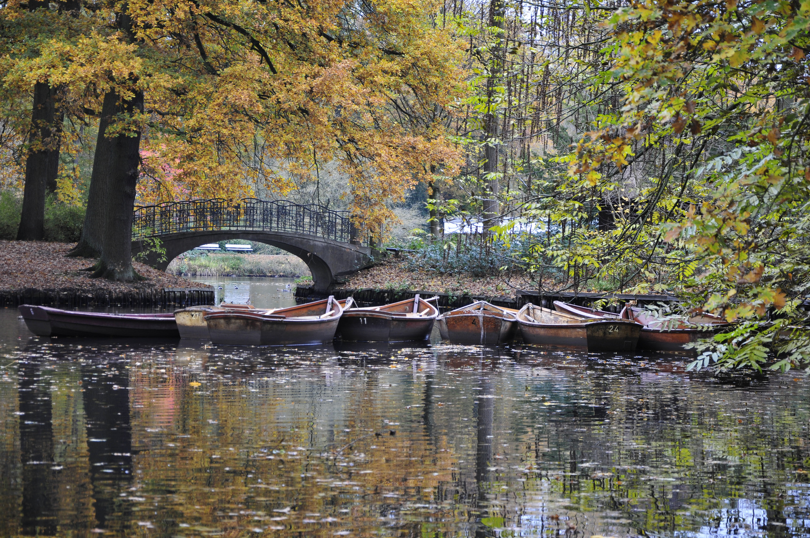 Herbstzauber