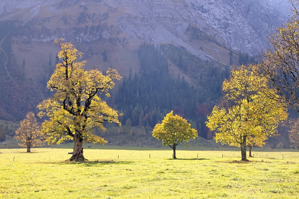 ... Herbstzauber ...